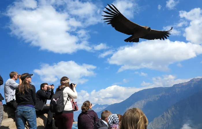 colca canyon